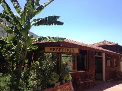Aygul - 6