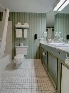 Senator Inn & Spa - 98