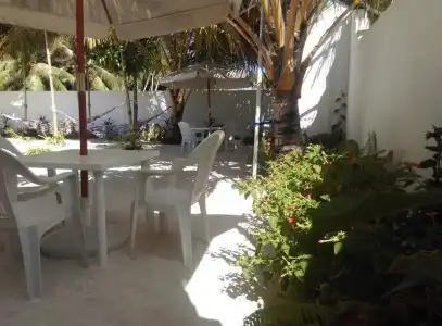 Palm Garden - 14