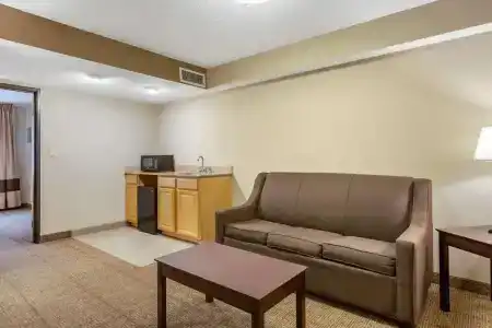 Comfort Inn Lansing West - 48