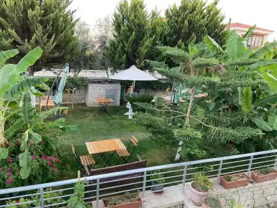 Lupa Alacati - 21