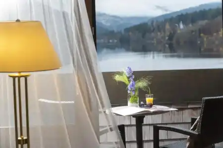 Maritim TitiseeTitisee-Neustadt - 129