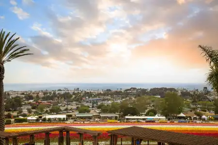 Grand Pacific Palisades - 29