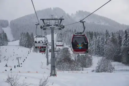 FamilienLv Wen - 9