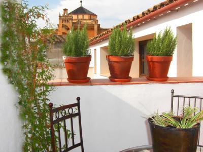Apartamentos Los Patios de la Judería - 18