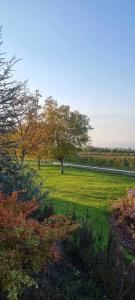 Chateau Mosmieri Resort - 28