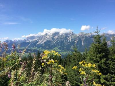 Brunner - Reiteralm - 16