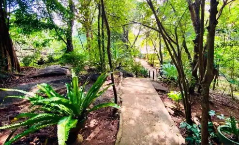 Green House - 38