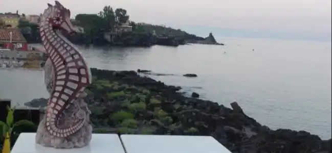 B&B Acireale - Il Cavalluccio Marino Fronte Mare - 23