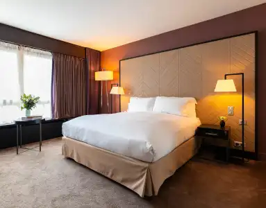 Sofitel Strasbourg Grande Ile - 29