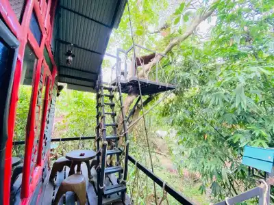 Khao Sok Tree House - 63