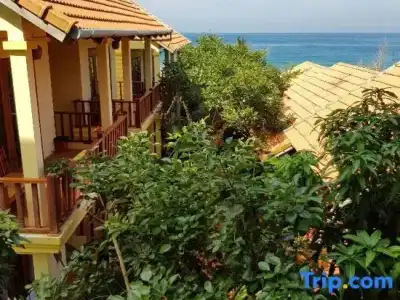 Free Beach Resort - 76