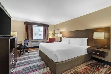 Best Western Plus Stoneridge Inn & Conference Centre - 60