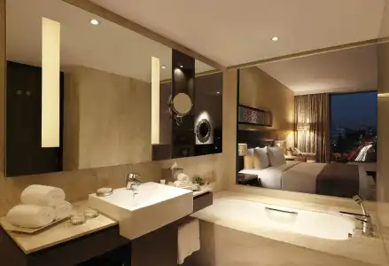 Hilton Jaipur - 9