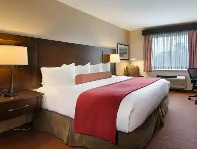 Best Western Plus Stoneridge Inn & Conference Centre - 31