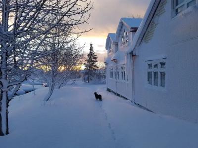 Miðhraun - Lava Resort - 14