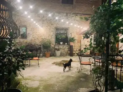 Gala Boutique - 15