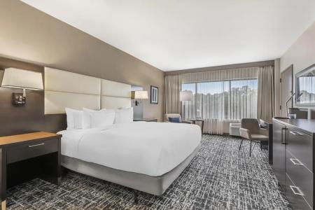DoubleTree by Hilton Williamsburg - 88