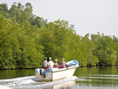 Pelli Riverine - 15