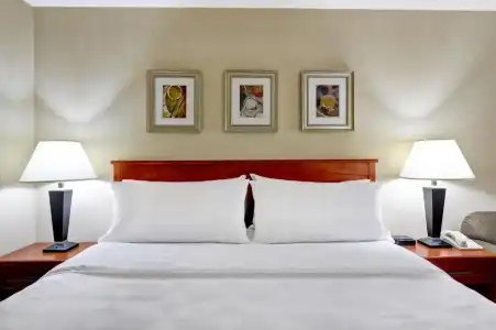 Holiday Inn Laval Montréal by IHG - 42