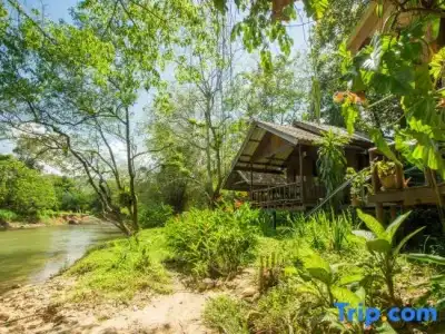 Khao Sok Riverside Cottage - 101