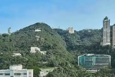 JW Marriott - 62