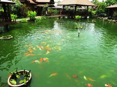 Pongsin Resort and Restaurant - 12