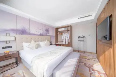 Wuhan Hongguang - 100