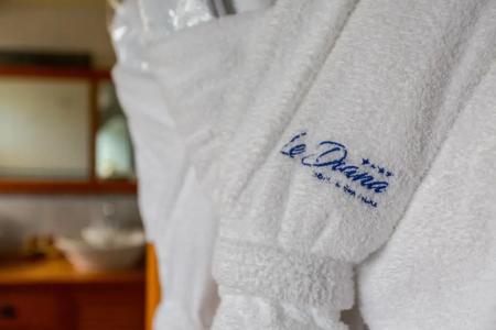 Le Diana Hôtel & Spa - 53