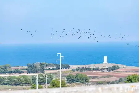 Masseria dei Monaci - 84