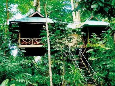 Khao Sok Nature Resort - 12