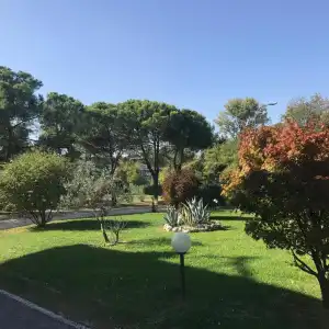 Nuova Barcaccia - 32