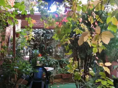 The Garden - 9