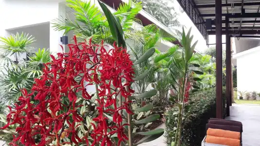 The Fong Krabi Resort - 45