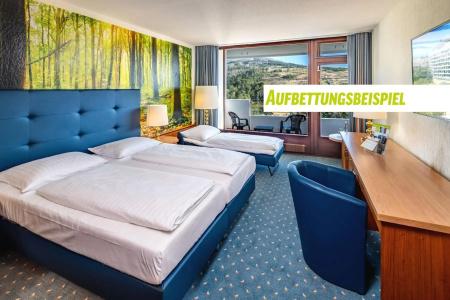 Ahorn Harz Braunlage - 4