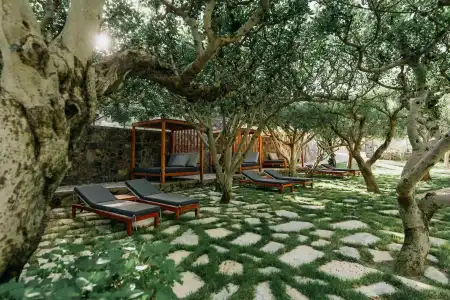 Paralos Irini Mare - 29