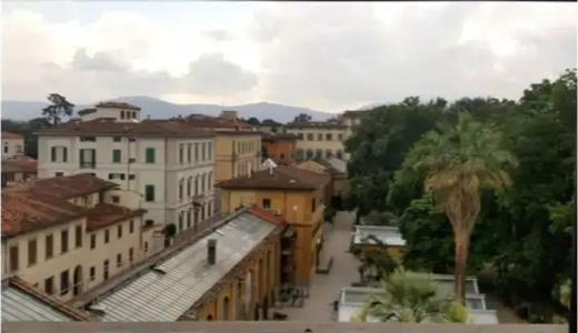 Flor in Florence - 14