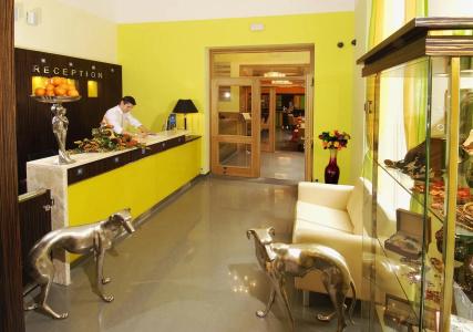 The Manes Boutique - 27