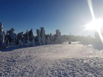 Rathaushotels Oberwiesenthal All Inclusive - 48