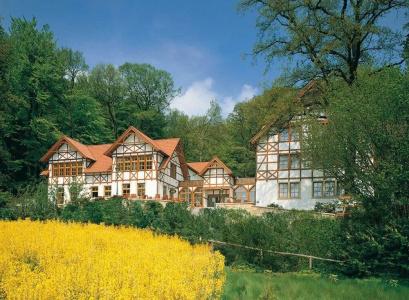 Der Waldkater - 11