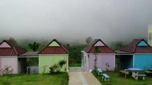 Lovely Farm - 37