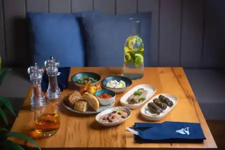 The Blue Fox - 8