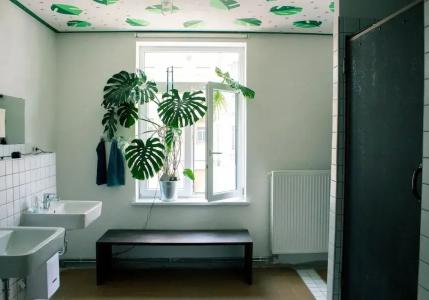 Hostel & Garten Eden - 5