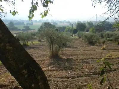 Azienda Agrituristica I Tre Casali - 41