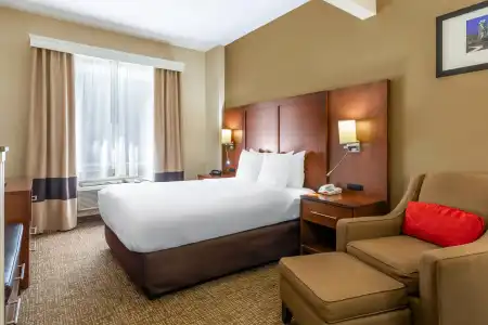 Comfort Suites Raleigh Walnut Creek - 4
