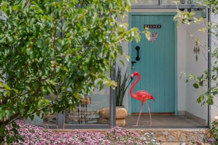 Baisha Flamingo - 67