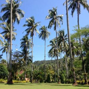 Ko Kut Ao Phrao Beach Resort - 15