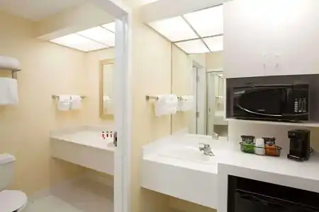 Ramada by Wyndham Kissimmee Gateway - 83
