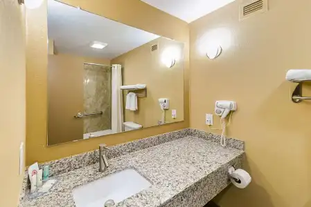 Quality Inn & Suites Lubbock South - 7
