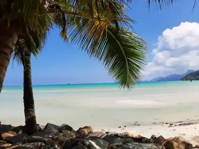 A Peace in Paradise - 20